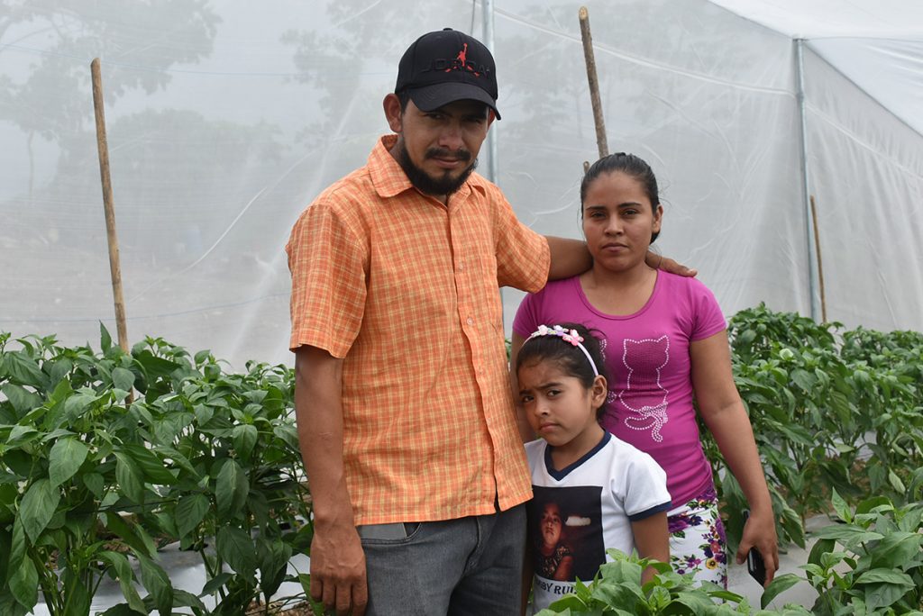 Ulises and his family stand together among the crops.