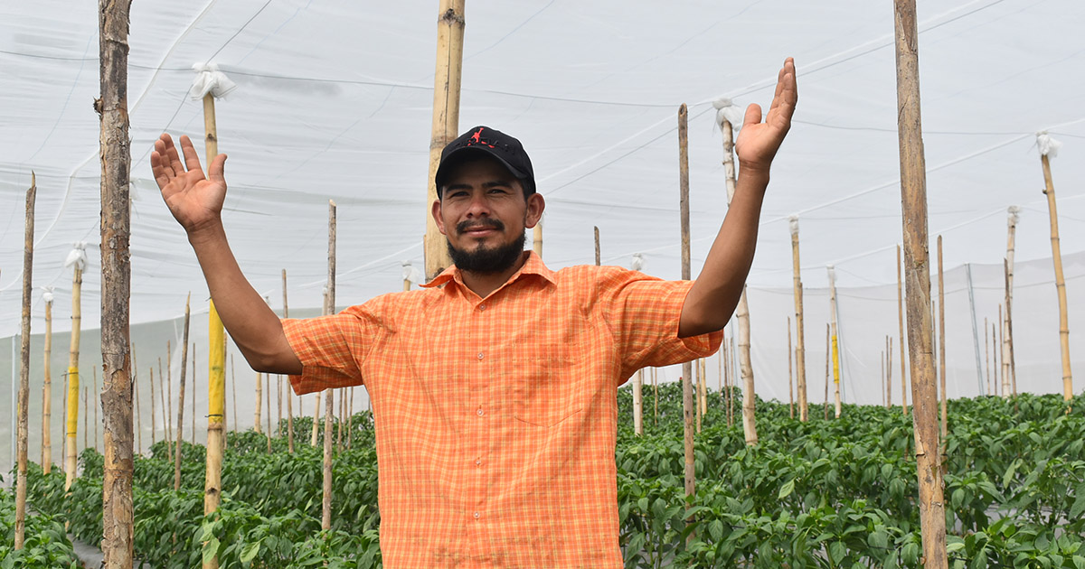 Ulises holds both hands high amidst healthy, growing crops.